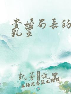 贵妇局长的蕾丝乳罩