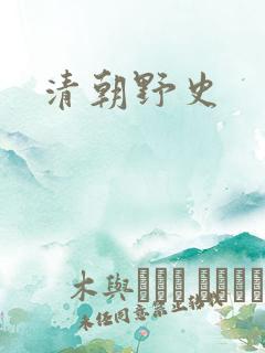 清朝野史