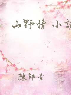 山野情 小说