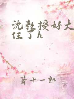 沈教授好大含不住了h