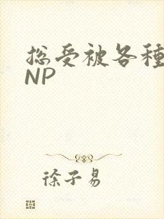总受被各种姿势NP