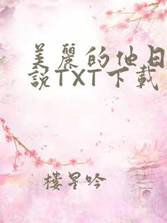 美丽的他日剧小说TXT下载