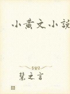 小黄文小说