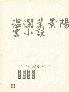 温澜叶景阳温云云小说