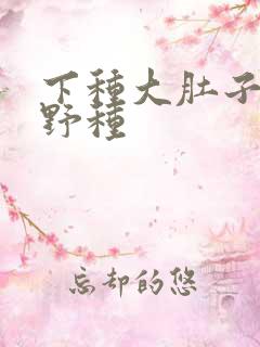 下种大肚子怀孕野种