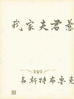 我家夫君惹不起