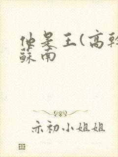 他是王(高干)苏南