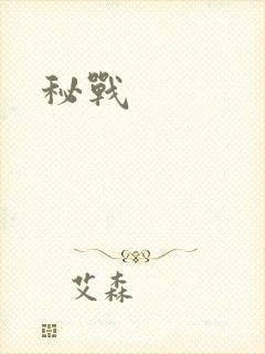 秘战