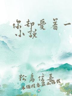 你却爱着一个他 小说