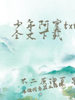 少年阿宾txt全文下载