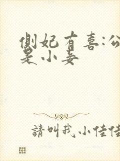 侧妃有喜:公主是小妾