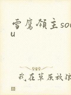 雪鹰领主sodu