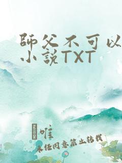 师父不可以灵犀小说TXT