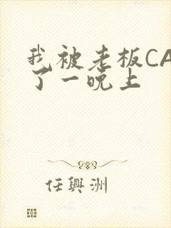 我被老板CAO了一晚上