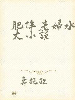 肥伴老妇水多乳大小说