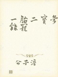 一胎二宝爹地超能宠