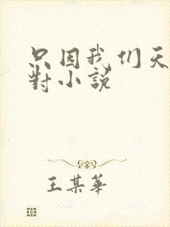 只因我们天生一对小说