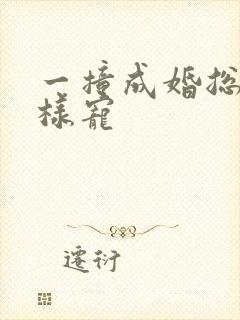 一撞成婚总裁花样宠