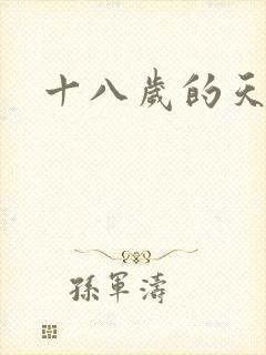 十八岁的天空续
