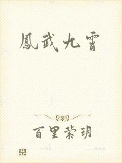凤武九霄