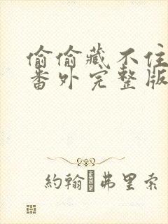 偷偷藏不住新婚番外完整版