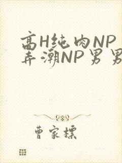 高H纯肉NP 弄潮NP男男