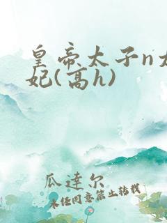 皇帝太子n太子妃(高h)