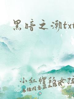 黑暗之潮txt