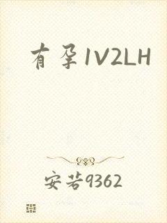 有孕1V2LH