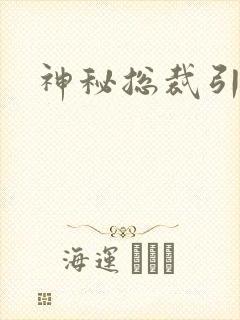 神秘总裁引入怀