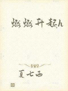 燃燃升起h