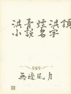 洪青烟洪镇国的小说名字