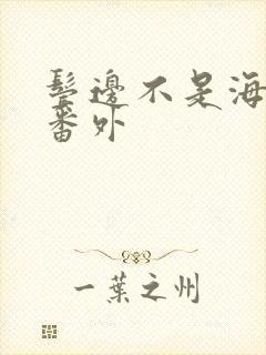 鬓边不是海棠红番外