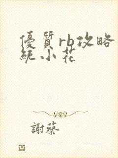 优质rb攻略系统小花