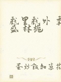 戏里戏外 季淮盛 林栀