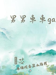 男男车车gay
