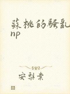 苏桃的骚乱文肉np