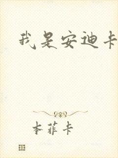 我是安迪卡罗尔