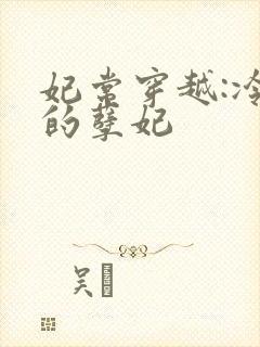 妃常穿越:冷王的孽妃