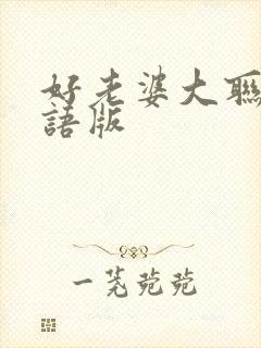 好老婆大联盟国语版