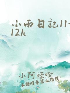 小雨日记11-12h
