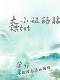 大小姐的贴身保镖txt