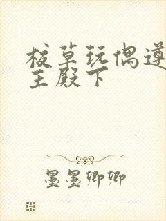 校草玩偶遵命公主殿下