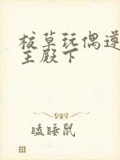 校草玩偶遵命公主殿下