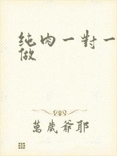 纯肉一对一到处做