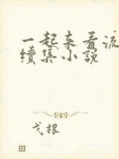 一起来看流星雨续集小说