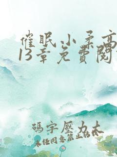 催眠小柔高达第13章免费阅读