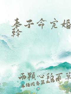 奉子命完婚 高干