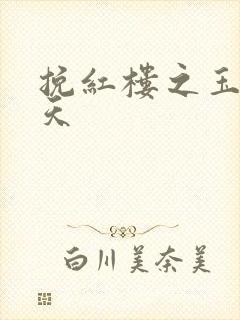 挽红楼之玉舞九天