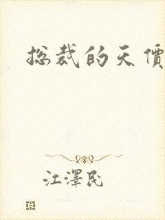 总裁的天价宠妻